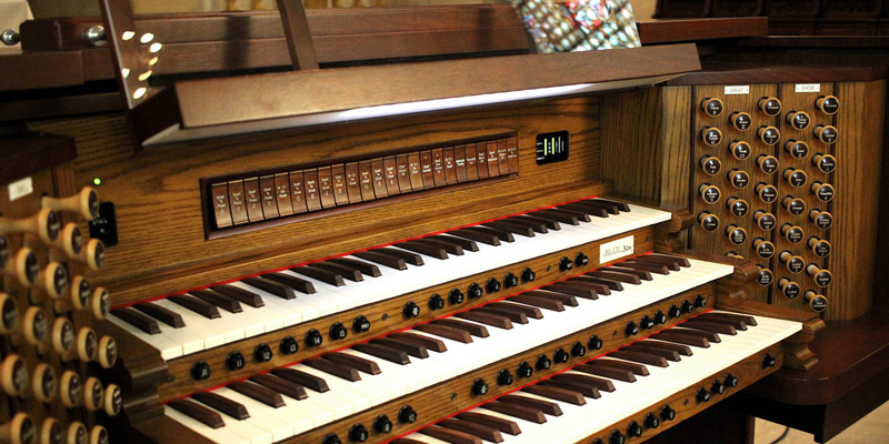 Organ